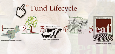 EAF Lifecycle