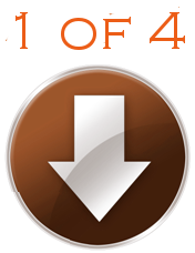 orange-arrow.1of4.resize