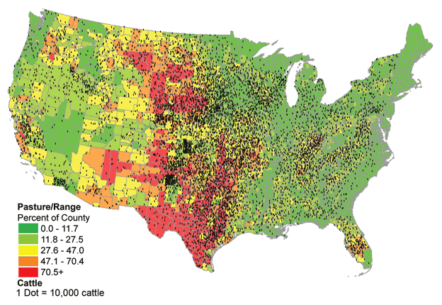 pastureland.beef cattle